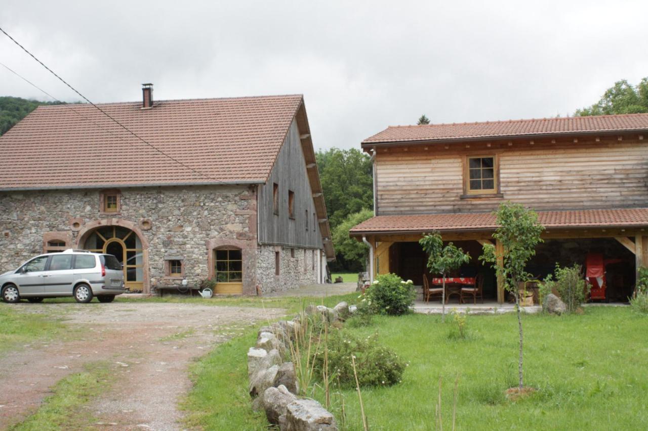 Typiques Au Coeur Des Hautes Vosges * Saulxures-sur-Moselotte